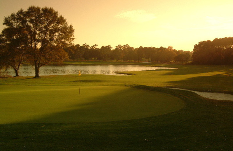Golf course near Beach Colony.