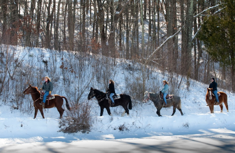 Horseback riding at Fernwood Resort.