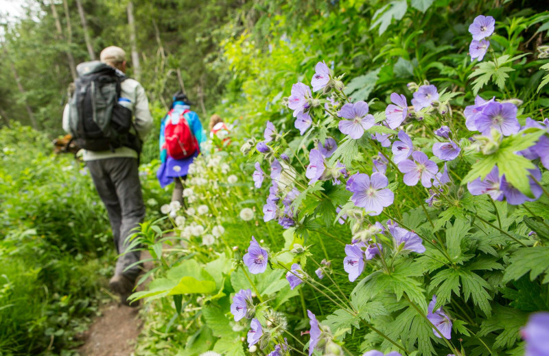 Hiking at Kenai Riverside Lodge.