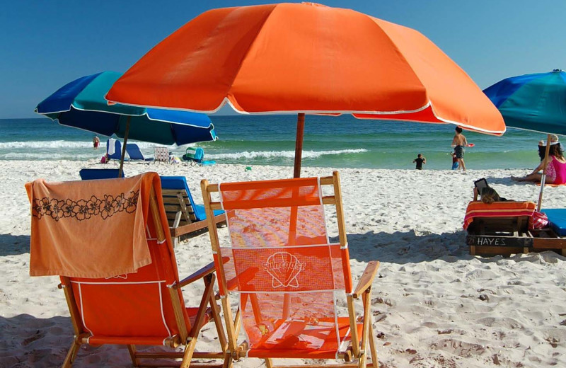 Relaxing on the beach at Young's Suncoast.