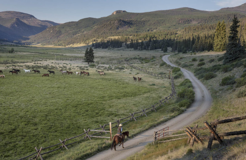 Horseback riding at 4UR Ranch.