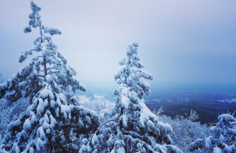 Winter landscape at The Conger Collection.