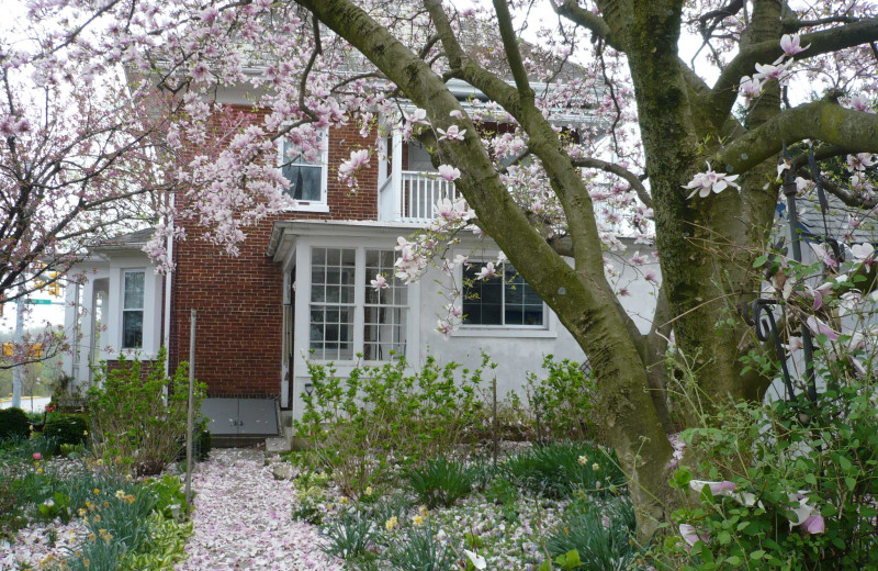 Exterior view of Garden House Bed 