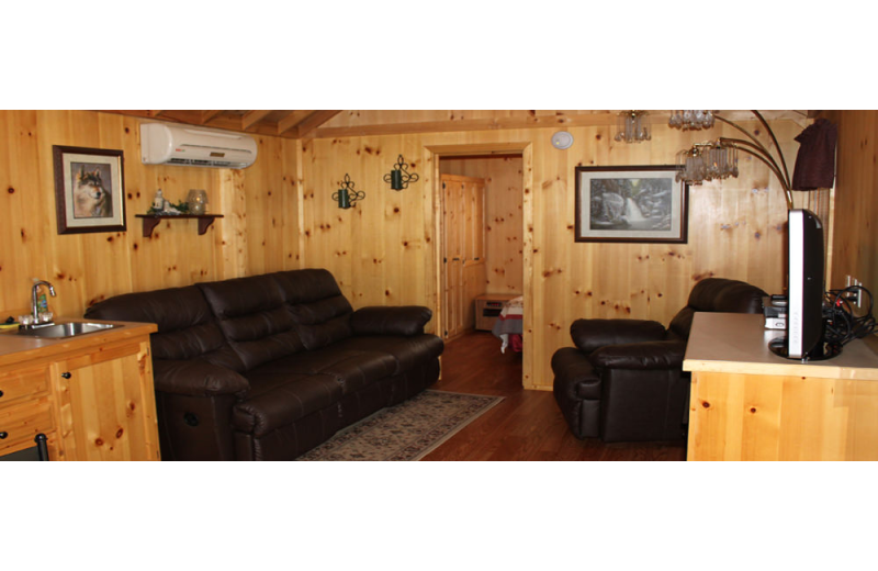 Cabin living room at Hocking Hills Backwoods Retreat.