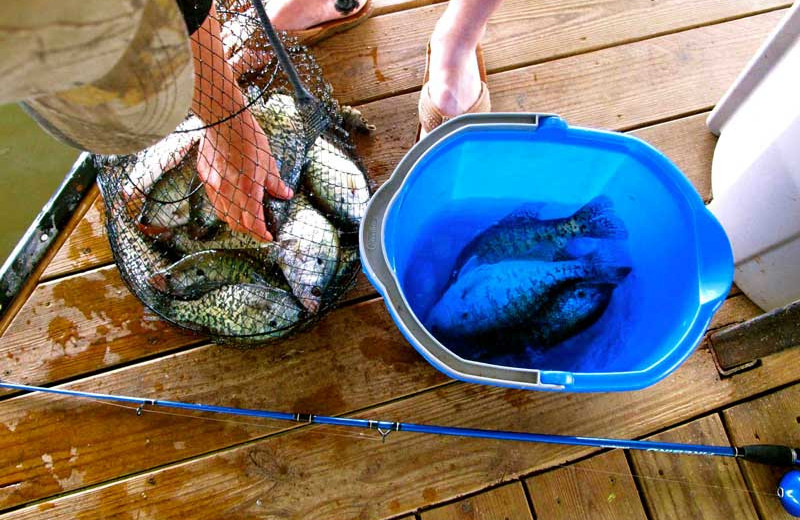 Fishing at Sunset Inn Resort.