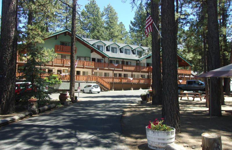 Exterior view of Honey Bear Lodge & Cabins.