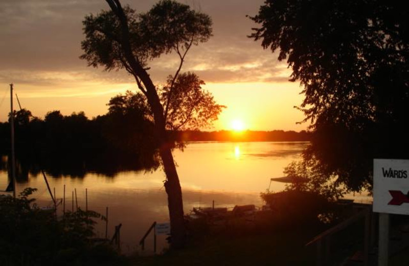 Sunset at Ward's Riverside Cabins.