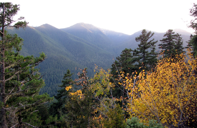 Mountains near Royal Victorian Motel.