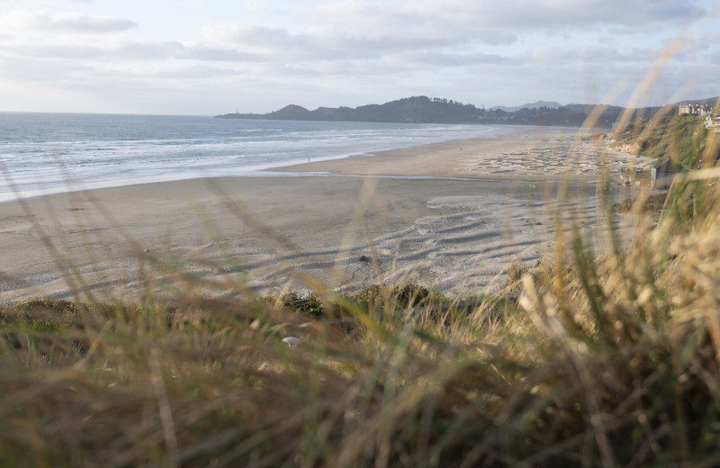 Beach at The Whaler.