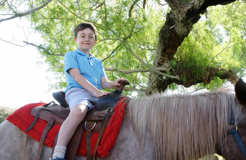 Pony rides at Smoke Tree Ranch.