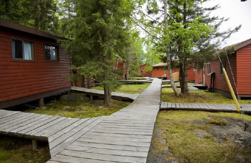 Cabins at Uchi Lake Lodge.