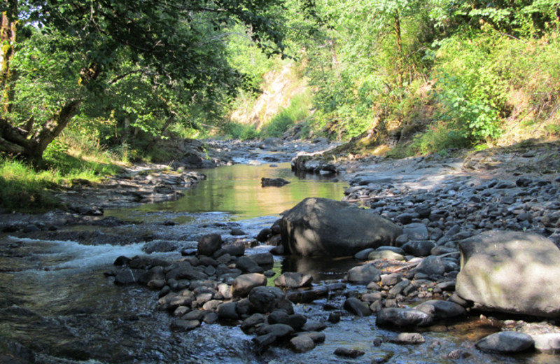 Creek at Glacier Bear Lodge.