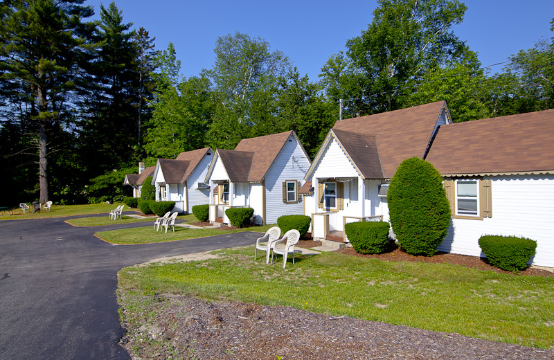 Cabins at Riverbank Motel & Cabins.