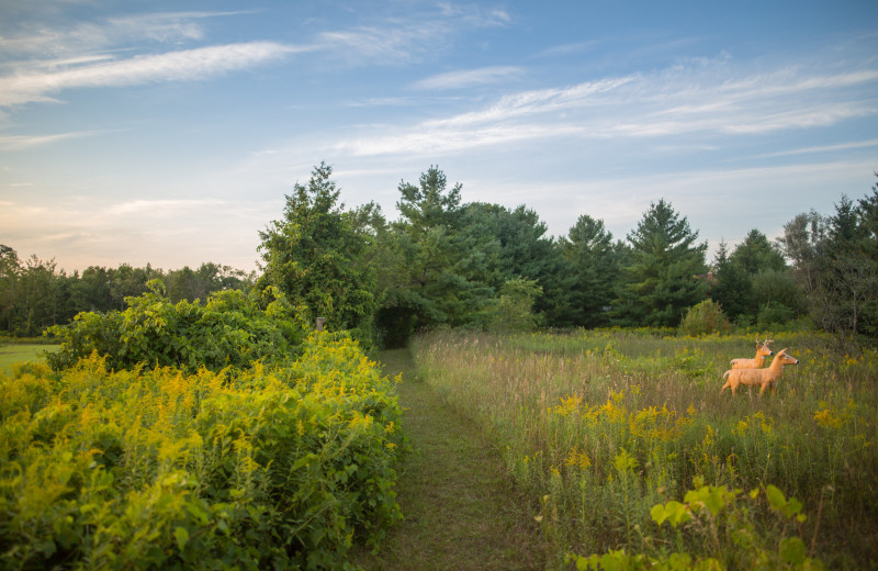 Trail at Door County Cottages.