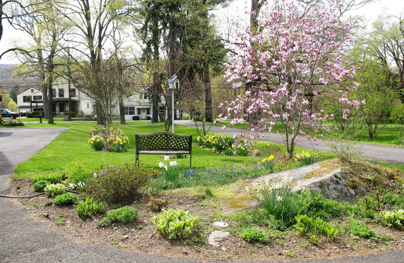 Garden at Stonegate Bed & Breakfast.