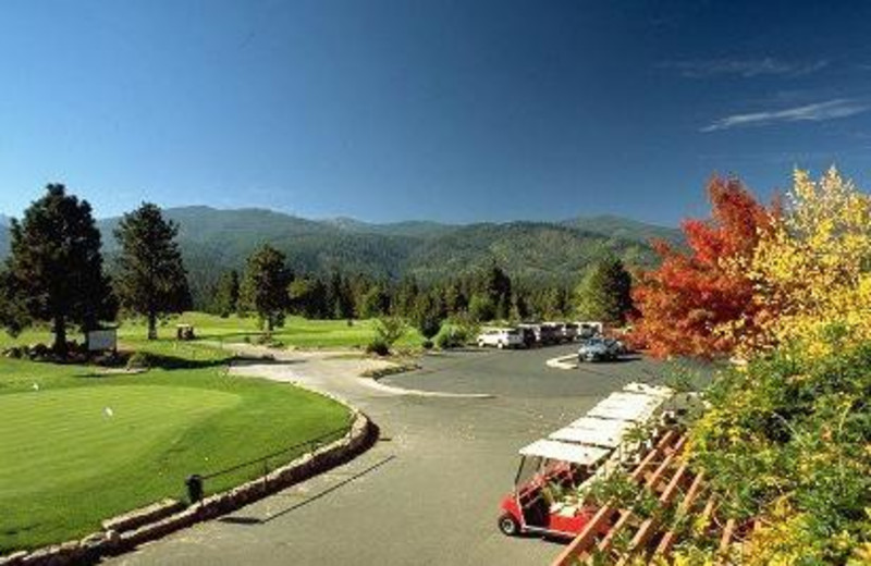 Mount Shasta Resort (Mount Shasta, CA) Resort Reviews