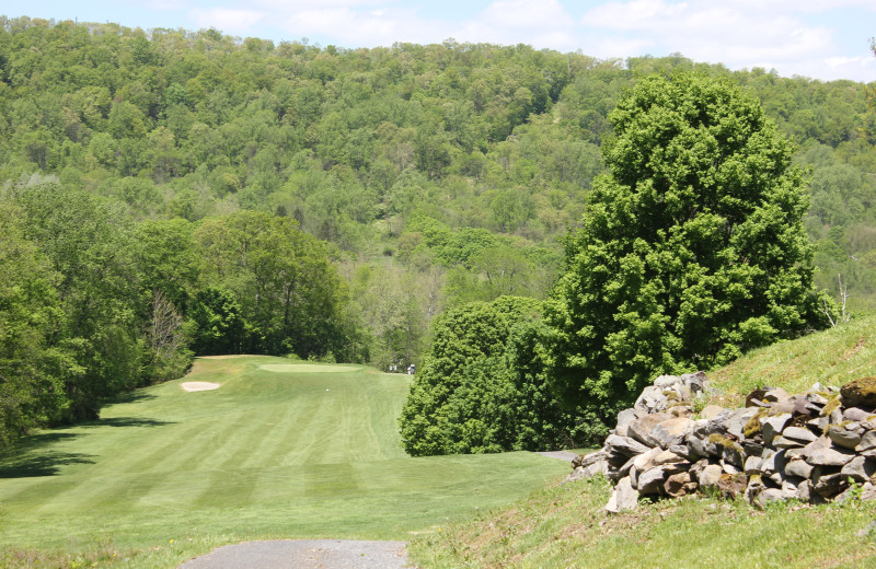 Golf course at Water Gap Country Club.