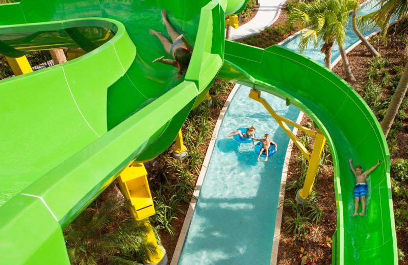 Water slides at The Grove Resort & Spa.