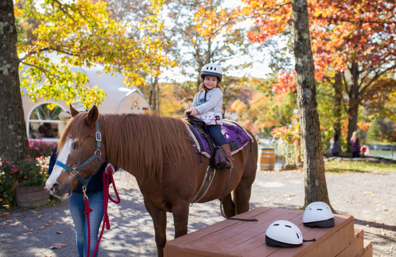 Horseback riding at Rocking Horse Ranch Resort.