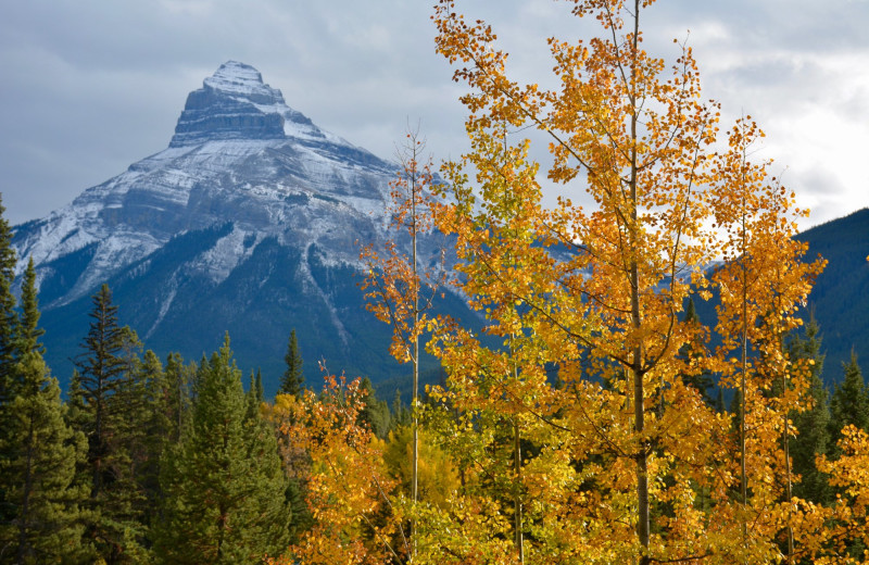 Mountains at Johnston Canyon Resort.