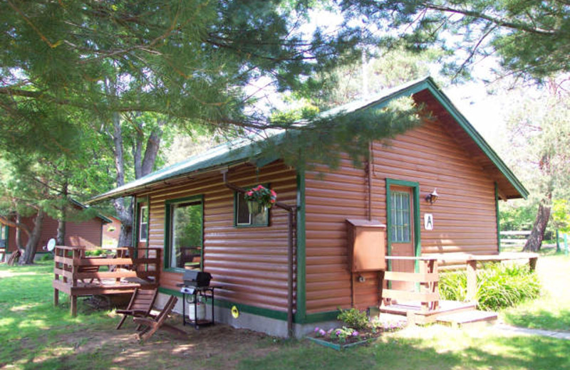 Cabin at Logging Chain Lodge