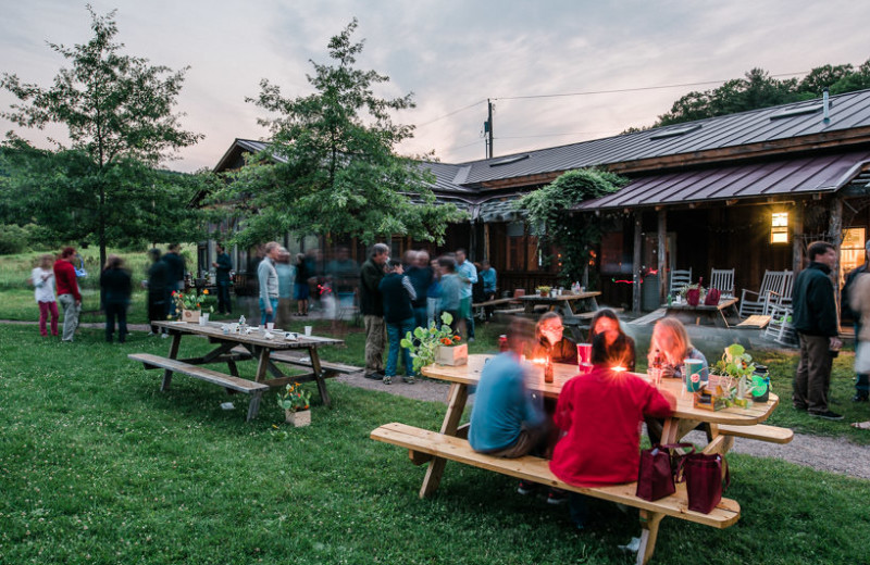 Picnics at Common Ground Center.