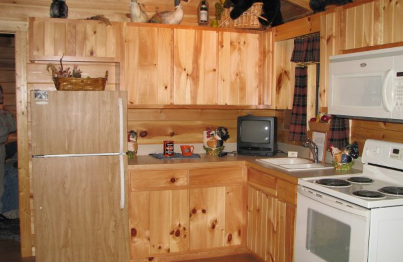 Cabin kitchen at Copperhead Lodge.