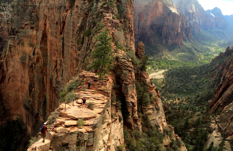 Hiking at Red Mountain Resort & Spa.