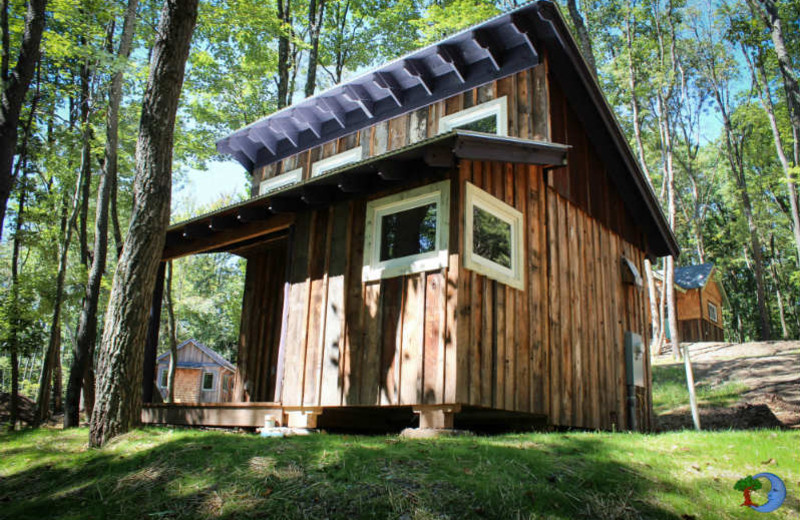 Tiny house exterior at Blue Moon Rising.