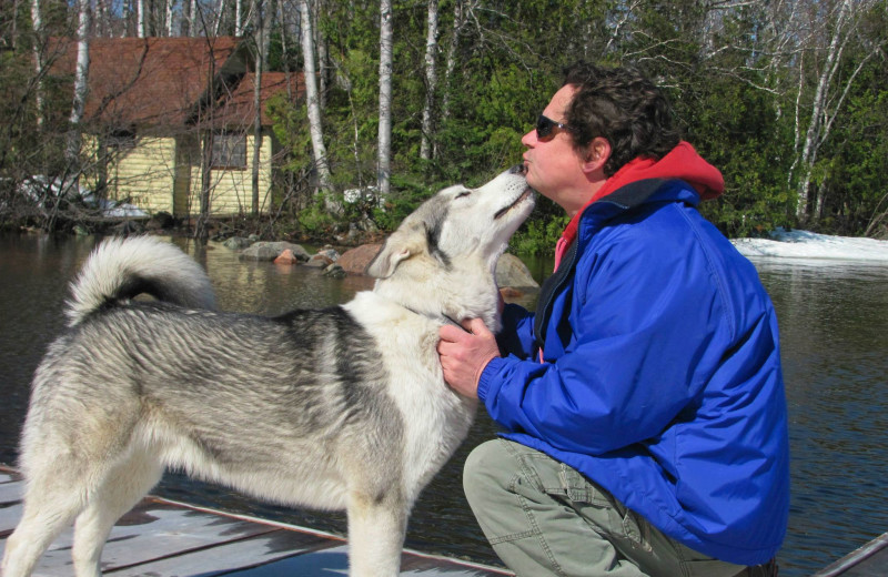 Pets welcome at Trout Lake Resort.