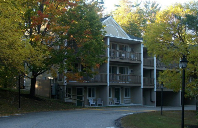 Exterior view of Misty Harbor.
