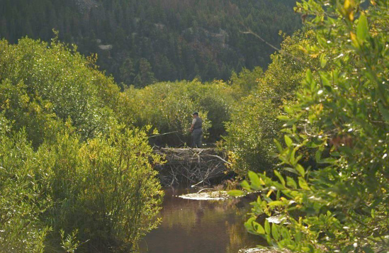 Fishing at Alpine Trail Ridge Inn.