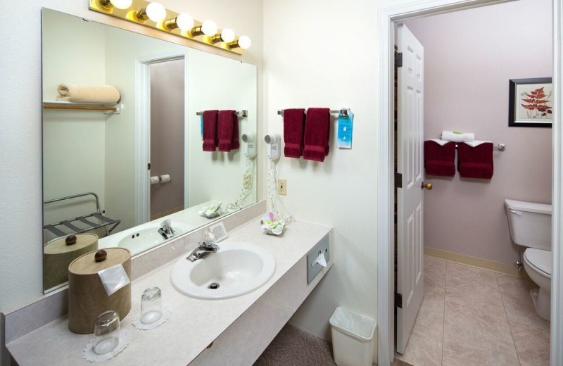 Guest bathroom at Alpen Rose Inn.