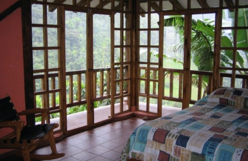 Guest room at Hacienda Primavera Wilderness Ecolodge.