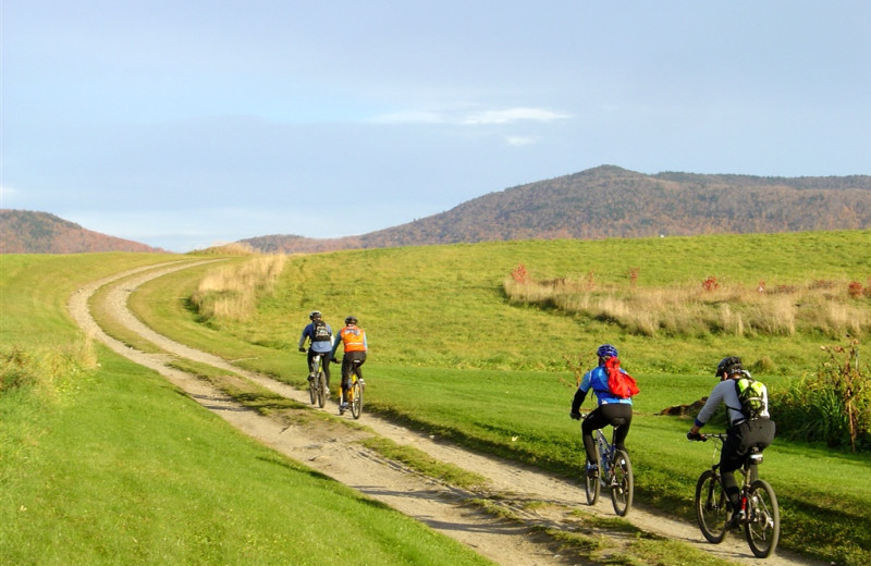 Mountain biking at The Wildflower Inn.