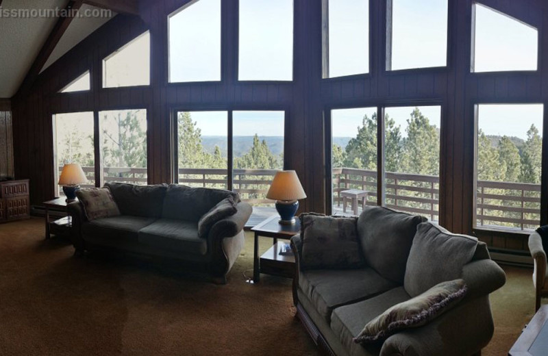 Cabin living room at Edelweiss Mountain Lodging.