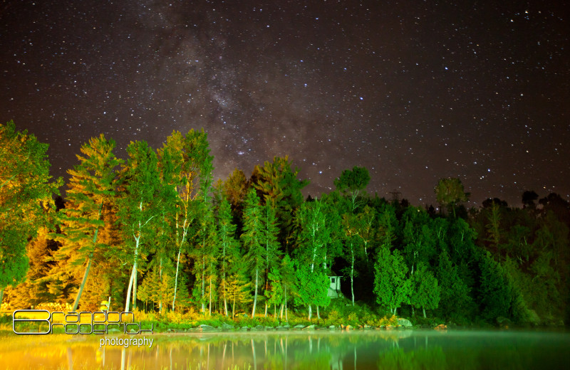 Starry sky at Olive the Lake.