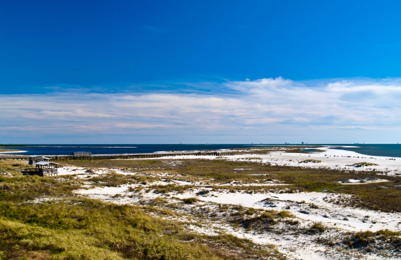 Beach view at Dauphin Island Beach Rentals, LLC.