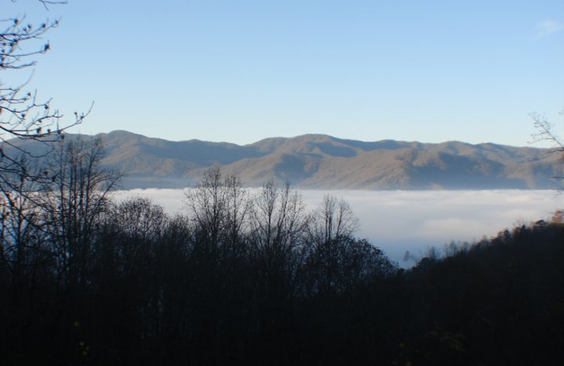 Mountain View at Tuckasiegee River Mountain Lodge