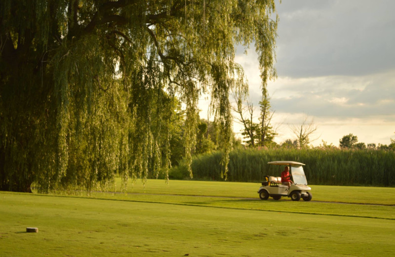 Golf course at Sawmill Creek Resort.