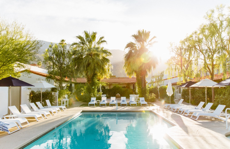 Outdoor pool at Alcazar Palm Springs.