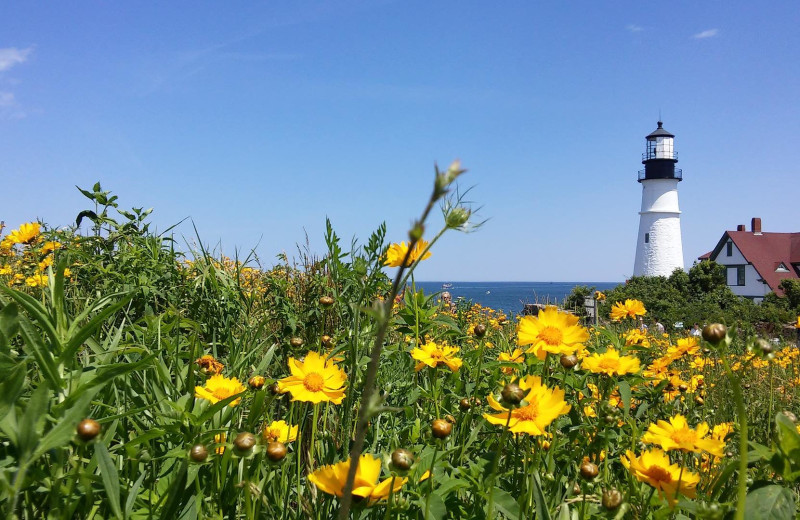 Lighthouse at Harbour Towne Inn on the Waterfront.