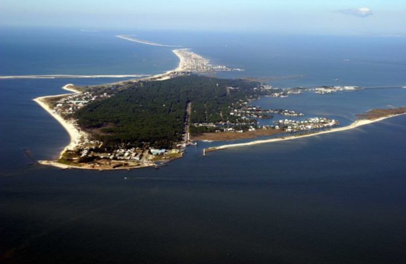 Dolphin Island