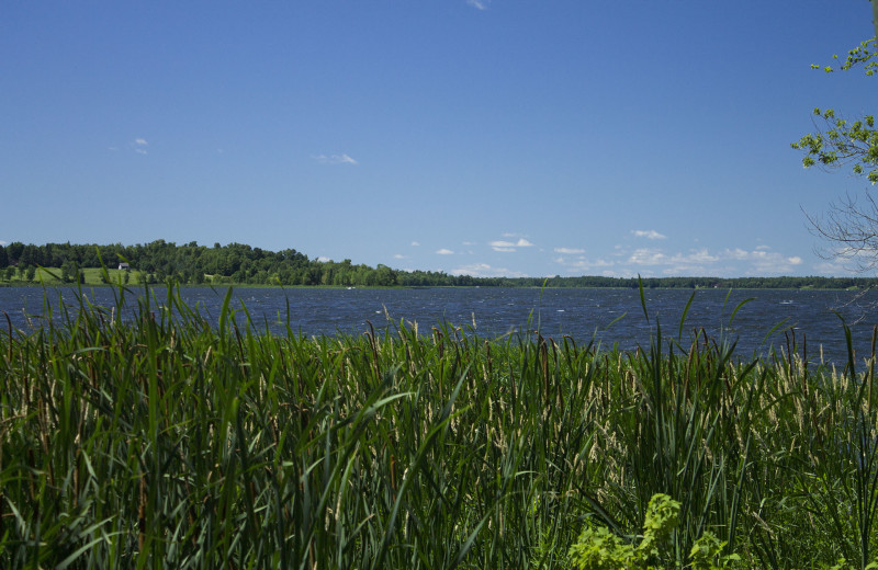 Lake view at Blackduck Lodge & Resort.