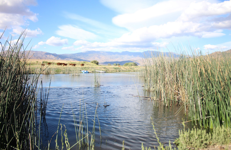 Lake at Rankin Ranch.