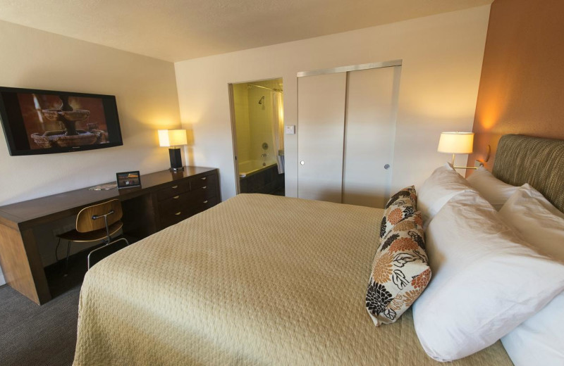 Guest room at Red Mountain Resort & Spa.