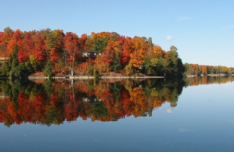 Fall colors at Sandy Beach at Otter Lake.