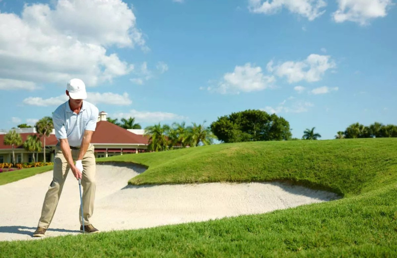 Golf at La Playa Beach & Golf Resort.