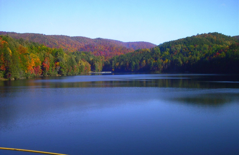 Fall foliage at Black Forest Bed & Breakfast & Luxury Cabins.