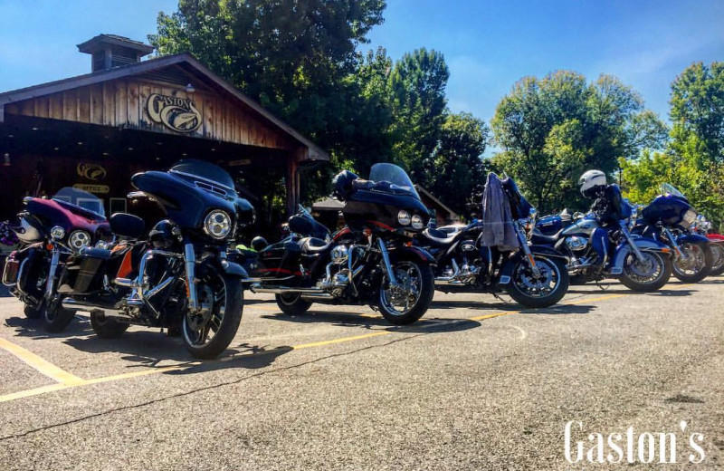 Motorcycles at Gaston's White River Resort.